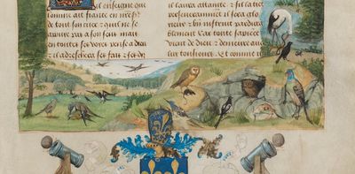 Bird sex fascinated medieval thinkers as much as people today