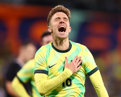 Socceroos get lucky with place in second highest pot for World Cup draw