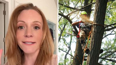 ‘You had no right to do this’: Georgia woman agrees to let neighbor cut down a few trees on her property. Then he completely violates her privacy