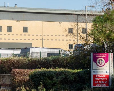 Excessive restraint in immigration detention centres ‘deeply concerning’, report finds