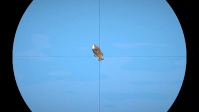 This fishing game awards bonus XP for no-scoping an airborne mackerel, and I think that's beautiful
