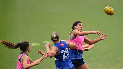 AFLW grand final history beckons for North's Birch