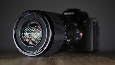 Sony FE 100mm f/2.8 Macro GM OSS review: Trust me, this is the lens you've been waiting for