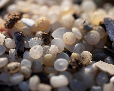 Plastic nurdles found at 84% of UK sites of special scientific interest