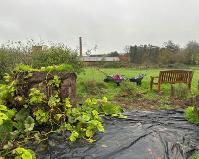 Country diary: Once a plain old field, now a thriving forest garden