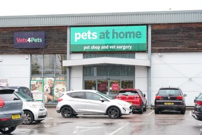 Pets At Home eyes ‘urgent’ cost-saving measures as retail profits plunge