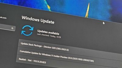 Microsoft adds new "app updates" page to Windows 11's Settings app for updating certain apps using Windows Update