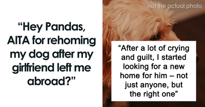 Hey Pandas, AITA For Finding A New Home For My Dog After My Girlfriend Walked Out?