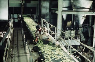 52 Years Later, Apple's Best New Sci-Fi Show Seemingly Just Rebooted A Grisly Concept