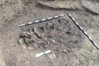 The surprising things ancient rubbish can tell us about our ancestors