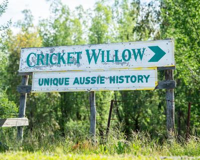 Field of Dreams-like shrine to cricket built ‘from bud to bat’ – photo essay