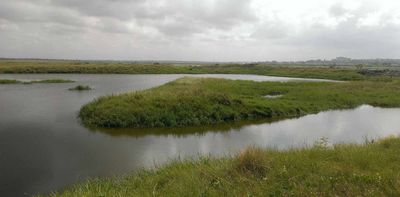 An important wetland in Ghana is under siege. Researchers investigate the real issues