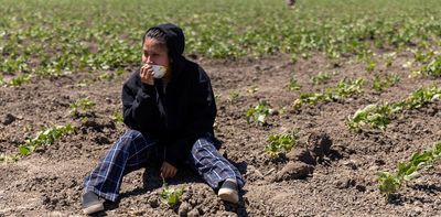 As US hunger rises, Trump administration’s ‘efficiency’ goals cause massive food waste