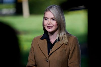 Mother of Karoline Leavitt’s nephew detained by US immigration agents