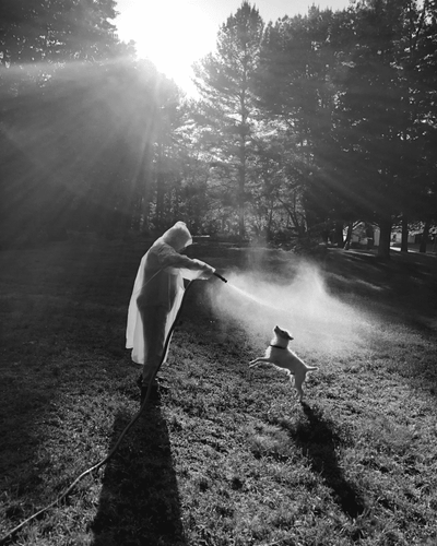 ‘My mother had dementia but beautiful things unfolded’: Cheryle St Onge’s best photograph