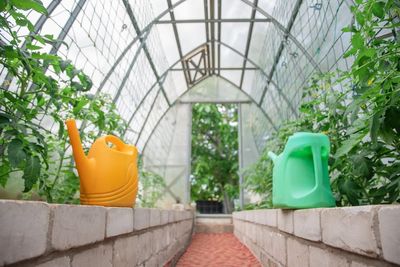 How to Keep Your Greenhouse Warm Without Skyrocketing Energy Bills