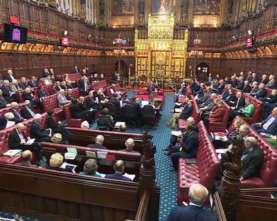 Peers are just doing their job in scrutinising the assisted dying bill