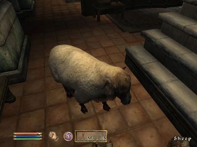 I turned every Oblivion NPC into a sheep and broke the game, but I can only blame myself