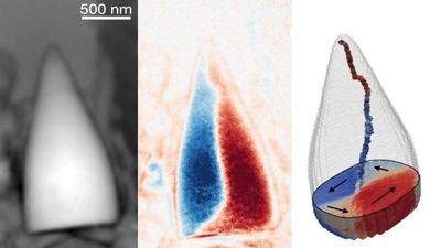 Scientists discover ancient magnetic fossils of unknown creature with internal GPS