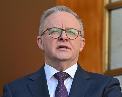 Labor strikes deal with Greens on nature laws overhaul amid criticism ‘dirty deal’ being ‘rammed through’