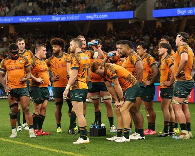 Wallabies’ 2026 schedule brings hope but also potential for bigger headaches