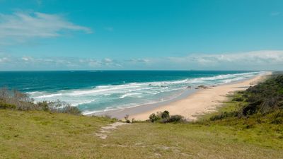 A Woman Has Been Killed And A Man Seriously Injured In A NSW Shark Attack