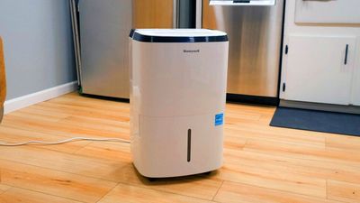 Buying a dehumidifier on Black Friday? Here's the one thing you need to check first