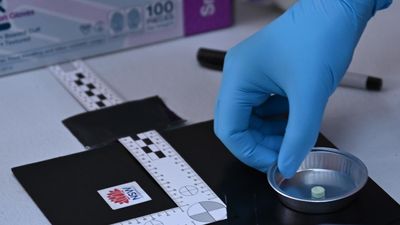 Festival-goers warned as drug tests find hidden threats