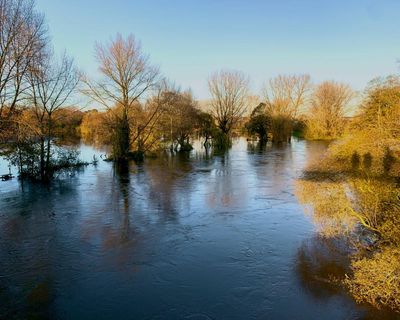 Country diary: The river has risen to meet the trees. This is Storm Claudia’s work
