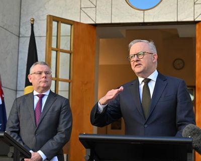 Labor’s nature law overhaul contains wins – but we should watch for gremlins in the details