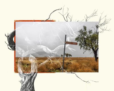 Guardian Australia wins Walkley award for Indigenous affairs for The Descendants series