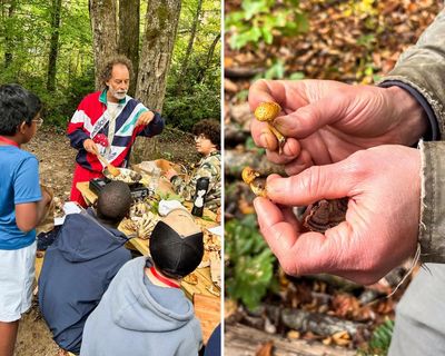 ‘Nature feeds us more than it floods us’: Asheville after-school program teaches kids to forage