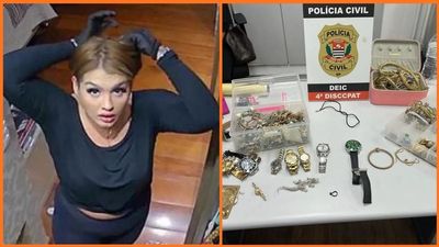 Police finally catch ‘Criminal Barbie’ who rents homes in luxury buildings to do something recklessly brazen