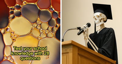 “Would You Be Able To Graduate?”: This 28-Question Test Will Reveal It All