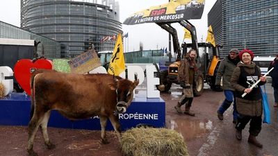 French lawmakers unanimously opposed to EU-Mercosur trade deal