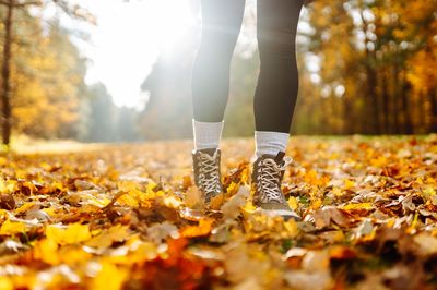 Should You Leave Fallen Leaves or Clean Them Up? The Real Answer