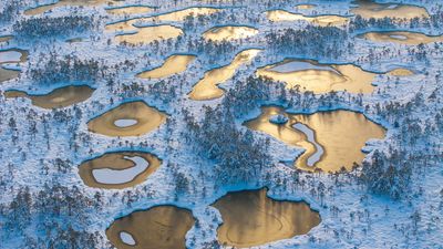Expertly photographed with the DJI Mavic 3 Pro, this landscape of frozen peat pools looks like an ethereal, alien world