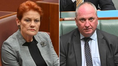 Nationals tip short honeymoon if Barnaby joins Hanson