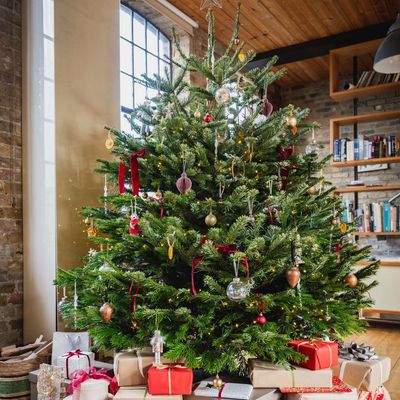How to protect your Christmas tree from underfloor heating – 3 things you need to do if you don't want it dropping all its needles in a week