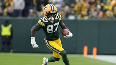 Lions Fans Furious Over Controversial Call That Helped Packers Score a Touchdown