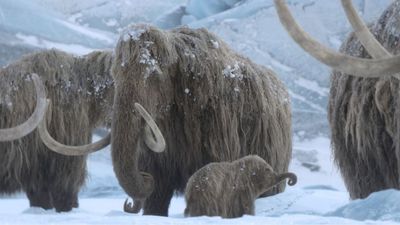 Prehistoric Planet: Ice Age showrunners confirm there’s no AI on screen – ‘mother nature is a better creator than any AI’