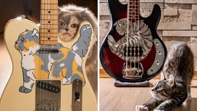 “It was the overwhelming reaction to my very first cat-themed pickguard, the Telecat, that gave me the final push to launch on Etsy”: Cat lovers, rejoice – this bassist is creating custom pickguards in the shape of your cat