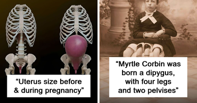 121 Interesting, Cool, And Disturbing Facts About The Mind And Body, As Shared By This FB Page