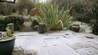 Forget salt — this one natural item is the key to de-icing your patio