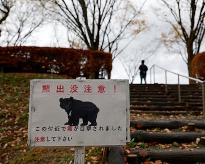 Bear attacks man in public toilet in Japan