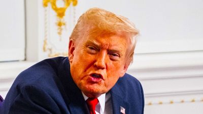 ‘You’re a stupid person!!!’: Trump flips his lid after being caught out in bald-faced lie by reporter on DC shooting suspect