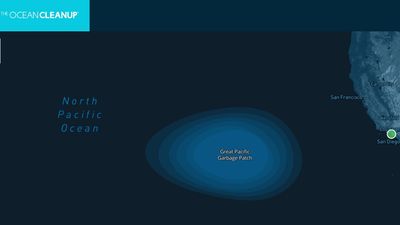 The Great Pacific Garbage Patch Is Transforming Into a Wildlife Hotspot — And That's a Problem