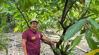 ‘Deeply disappointing’: Experts slam Cop30 for ignoring climate’s impact on food supply
