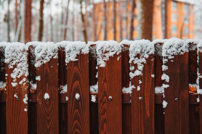 The Garden Fence Test: How to Tell If Yours Will Survive the Snow