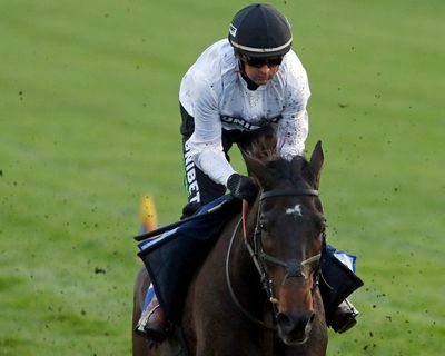 Will Constitution Hill rediscover electrifying best after startling dip in form?